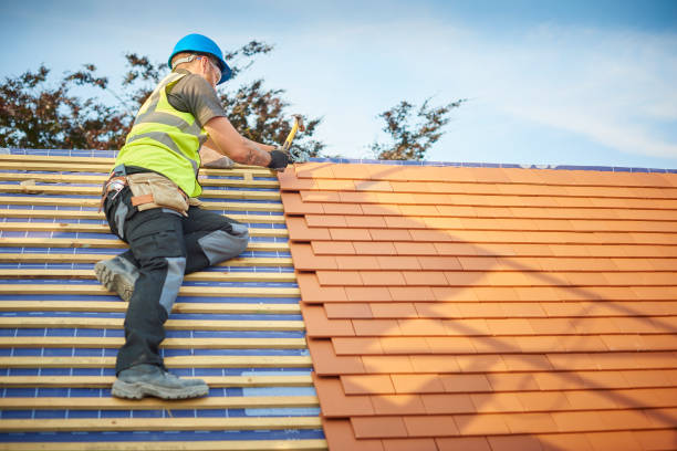Best Asphalt Shingle Roofing  in Summit, AZ